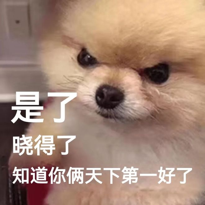 俞老师在家偷练厨艺，只为请粉丝朋友们吃饭？快来报名抽奖叭！