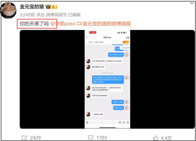 大金晒出对话录屏！许凯承认动手家暴，女方喊话他：你天黑了吗