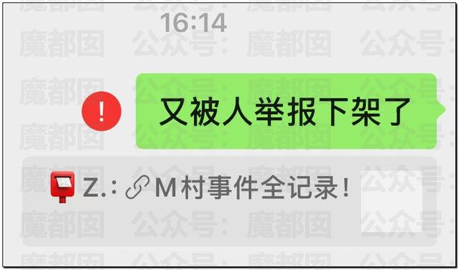 网传中国家喻户晓57岁传奇巨星歌手出轨致人怀孕还抢手机？