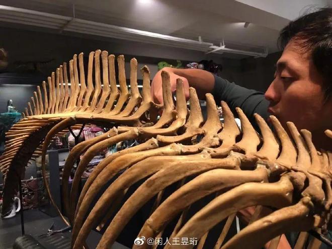 清华毕业不上班，养个女儿不上学，如今他把日子过成了这样……
