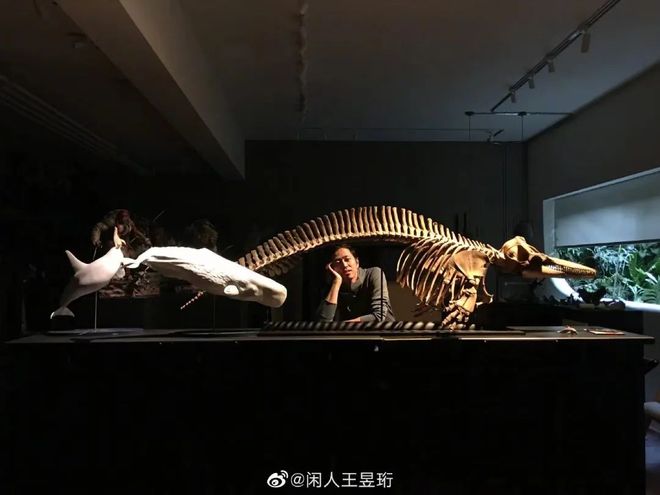 清华毕业不上班，养个女儿不上学，如今他把日子过成了这样……