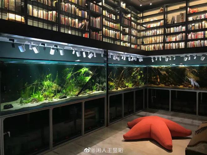 清华毕业不上班，养个女儿不上学，如今他把日子过成了这样……