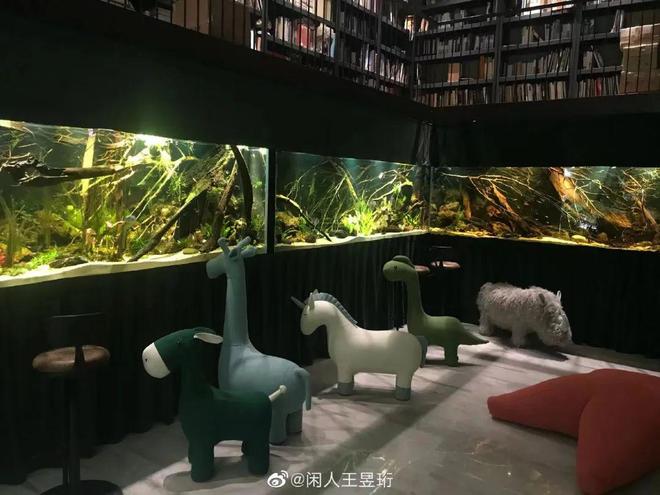 清华毕业不上班，养个女儿不上学，如今他把日子过成了这样……