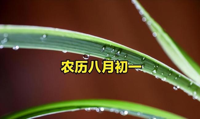 “初一怕下雨”？今日八月初一，怕什么？ 秋收预警信号