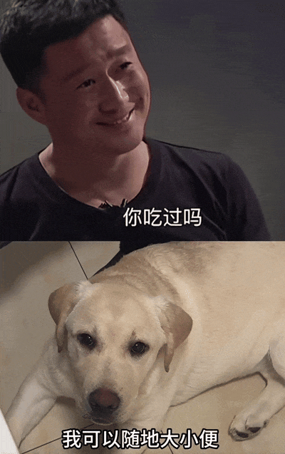吴京，被嘲成了“梗王”