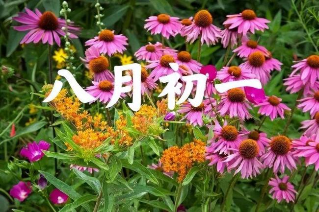 “初一怕下雨”？今日八月初一，怕什么？ 秋收预警信号