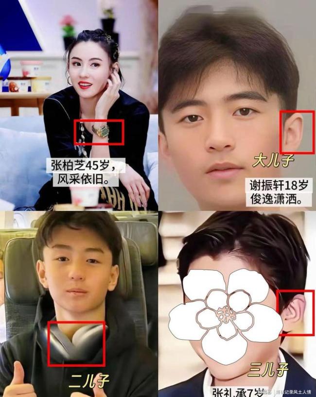 张柏芝柯淳录制节目同框