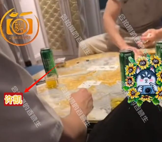 许凯被曝聚众赌博，娱乐圈多位明星涉赌博风波，小偶像一夜输20万