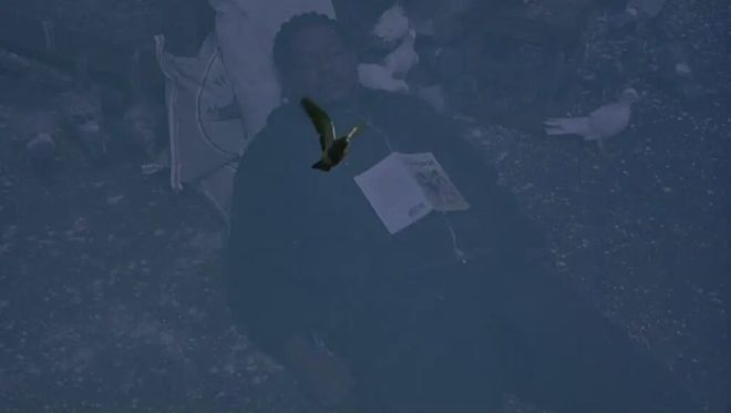 威尼斯的最大赢家，绝对是他啊