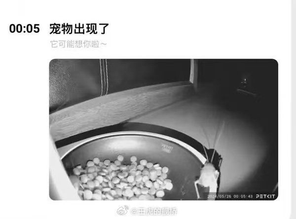 今日最佳：它可能想你啦~