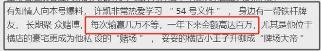 许荔莎喊话许凯要坐牢，律师称若属实最高可判10年，恶劣影响不小
