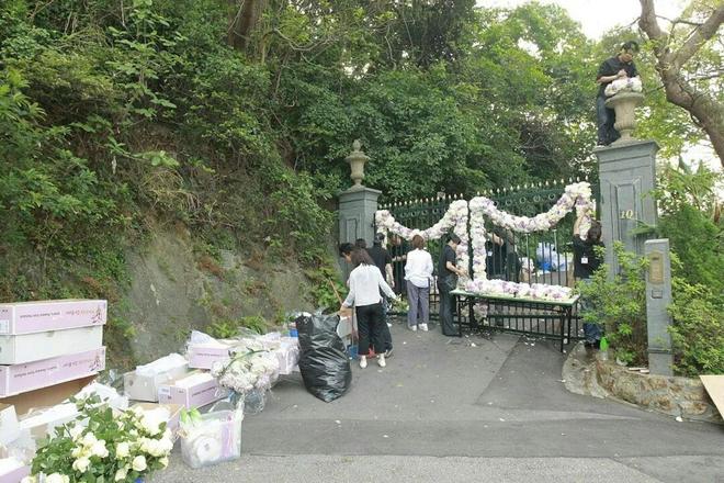 2025港姐前三出炉！盘点那些靠买楼逆袭的港姐狠人！