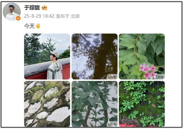 于朦胧被曝跳楼轻生！曾谈到抑郁症直言想自救，被雪藏三年太致命