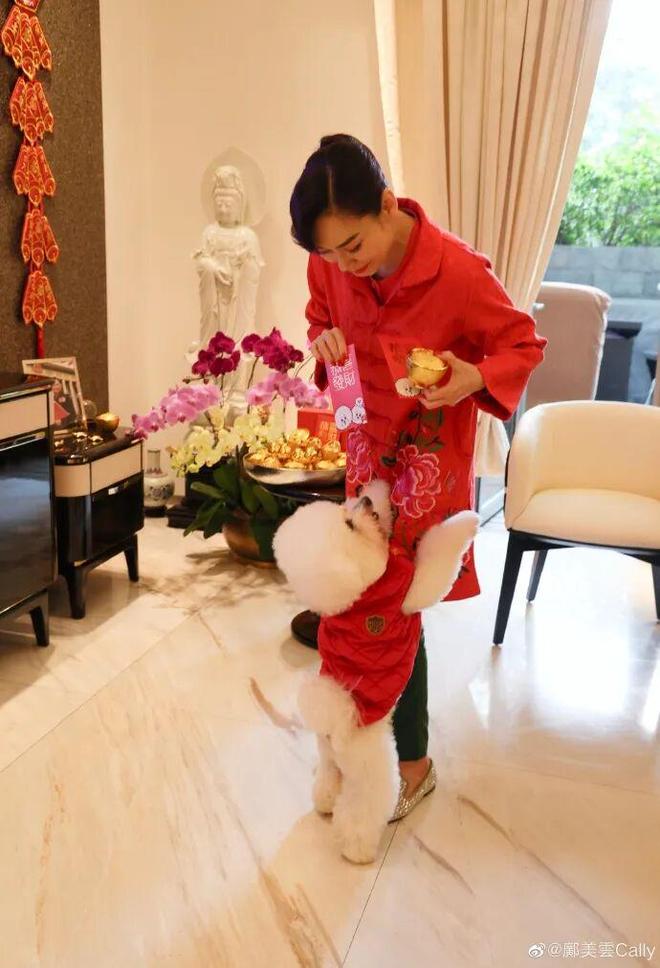 2025港姐前三出炉！盘点那些靠买楼逆袭的港姐狠人！