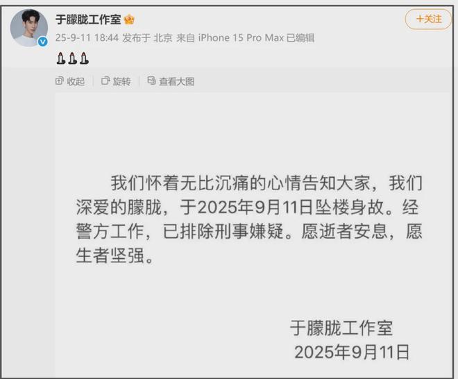 于朦胧坠亡引阴谋论？网友质疑排除刑事嫌疑太快，坚信死因不简单