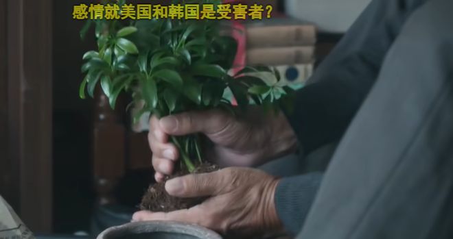 全智贤新剧口碑崩了！对中国充满恶意，取景专门拍脏乱差抹黑大连