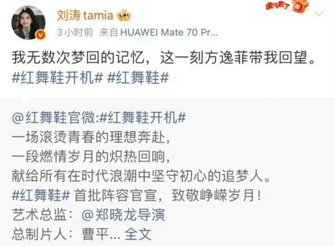 刘涛为95花作配，国民女星的资源降级还是新机遇？