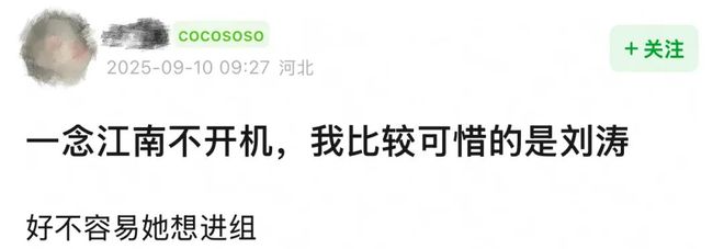 刘涛为95花作配，国民女星的资源降级还是新机遇？
