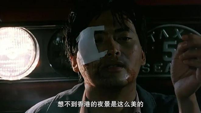 他代表香港电影明星里，银幕魅力的极致