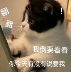 小燕子家暴互殴虐童的瓜