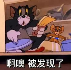 小燕子家暴互殴虐童的瓜