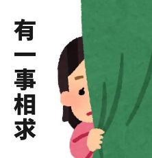 小燕子家暴互殴虐童的瓜