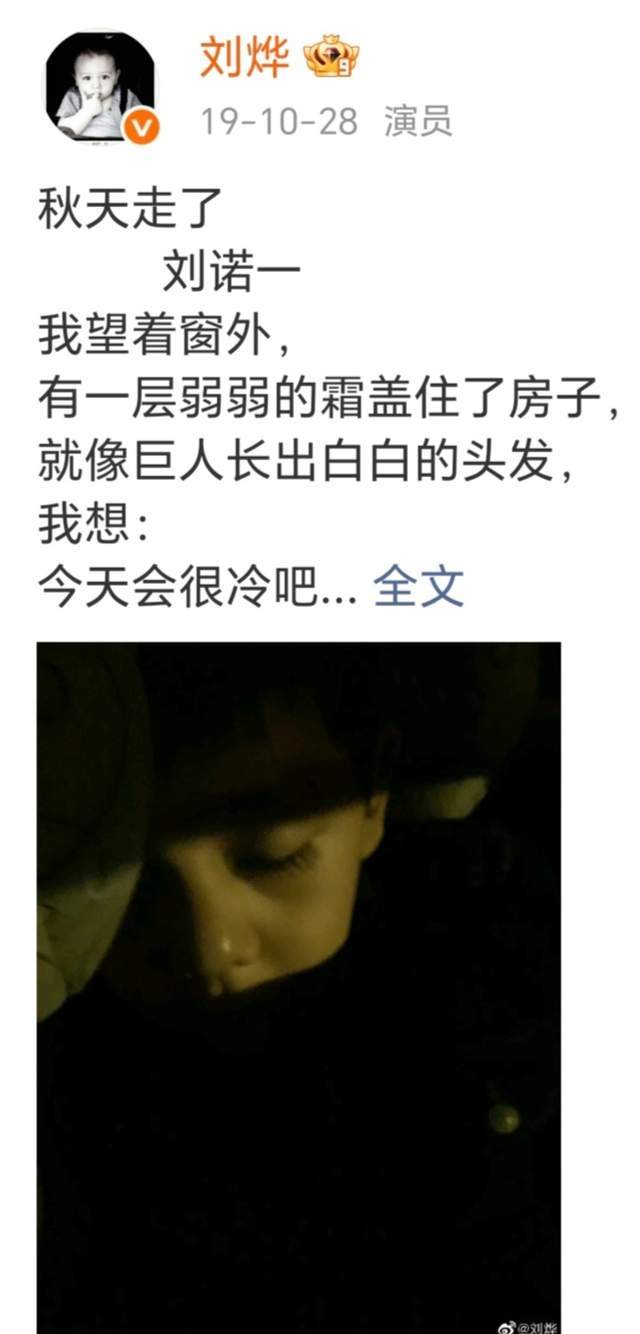 还记得诺一吗？14岁的他上法国新闻联播，也是给老爸刘烨争光了
