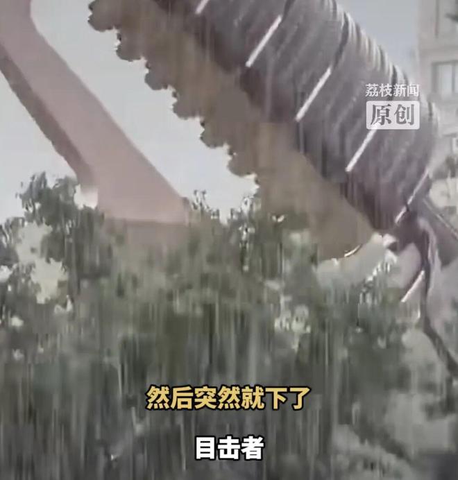 E句话 | 房主任被家暴的真相？