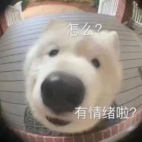 E句话| 在西藏办烟花秀的品牌已道歉？
