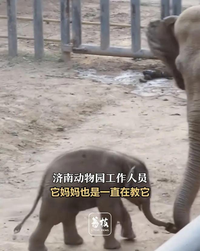 E句话| 在西藏办烟花秀的品牌已道歉？
