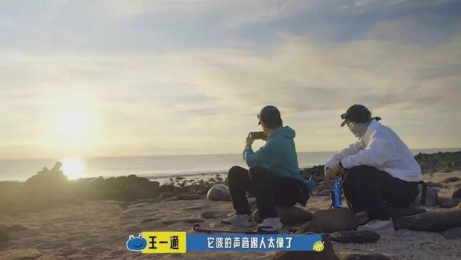 自制纪录片的胡先煦，为什么没能成为下一个王一博