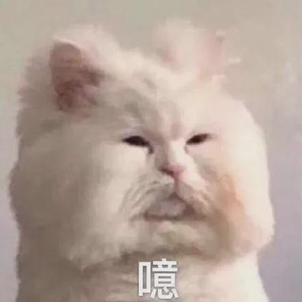 E句话| 她拖欠11万管理费？