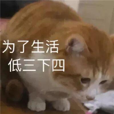 E句话| 她拖欠11万管理费？