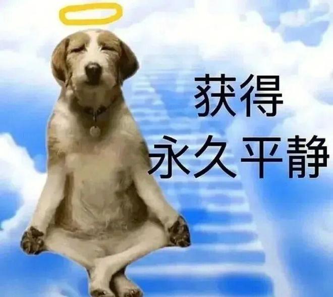 E句话| 她拖欠11万管理费？