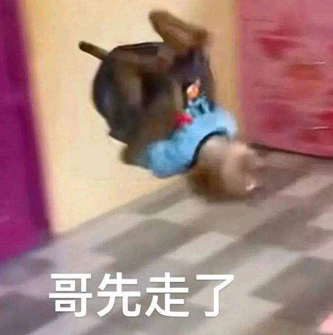 E句话| 台媒曝光安以轩近况