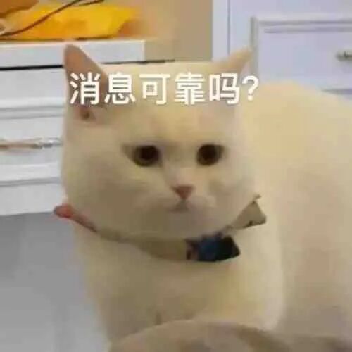 E句话| 张嘉益或入职北电？