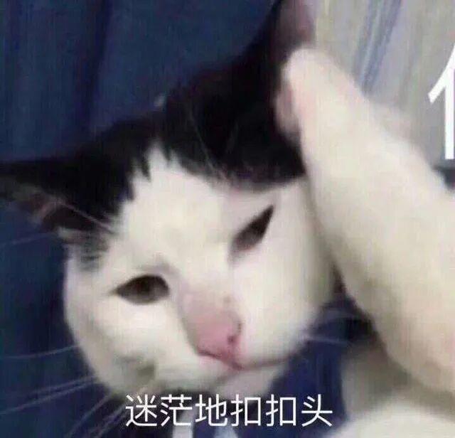 E句话| 张嘉益或入职北电？