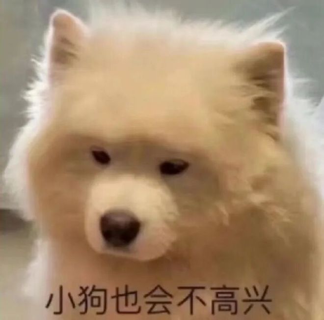 E句话| 张嘉益或入职北电？