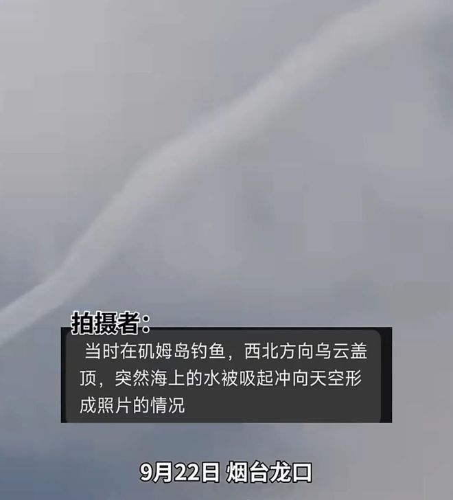 E句话| 张嘉益或入职北电？