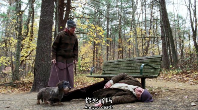 十年来，我没等到超越它的美剧