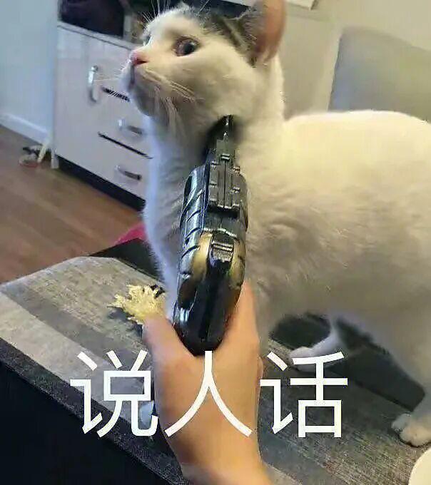 E句话| 赛琳娜也结婚啦！