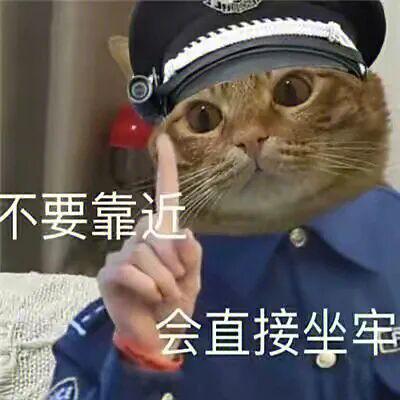 E句话| 赛琳娜也结婚啦！