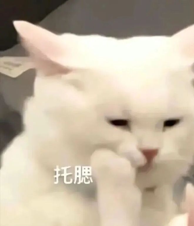 E句话| 赛琳娜也结婚啦！