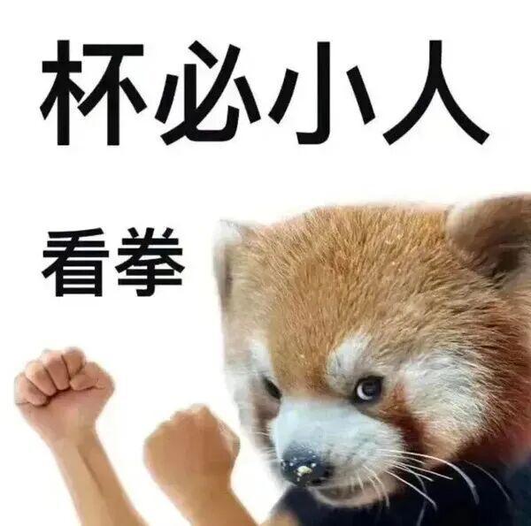 E句话| 赛琳娜也结婚啦！