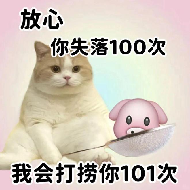 E句话| 赛琳娜也结婚啦！