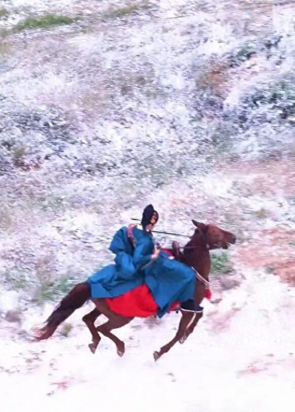丁禹兮控停暴冲马匹