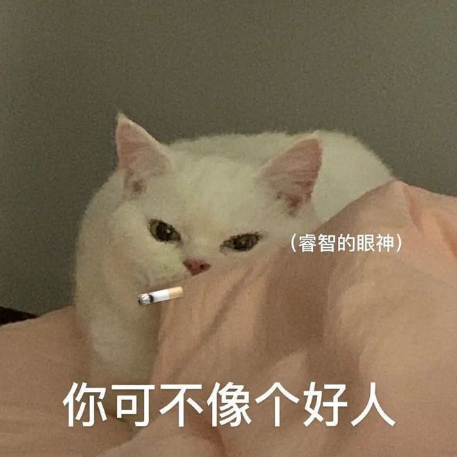 E句话看天下| 他又塌了？