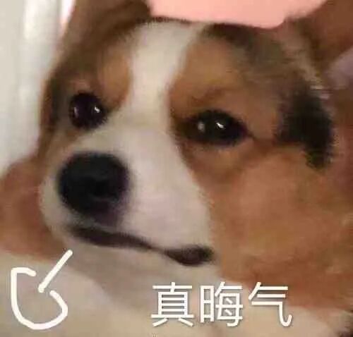 E句话| 她也遇到过阴阳剧本？
