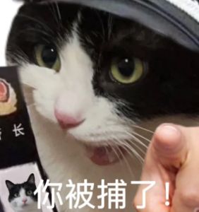 E句话| 工作室辟谣他俩恋情？