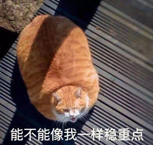 E句话| 工作室辟谣他俩恋情？